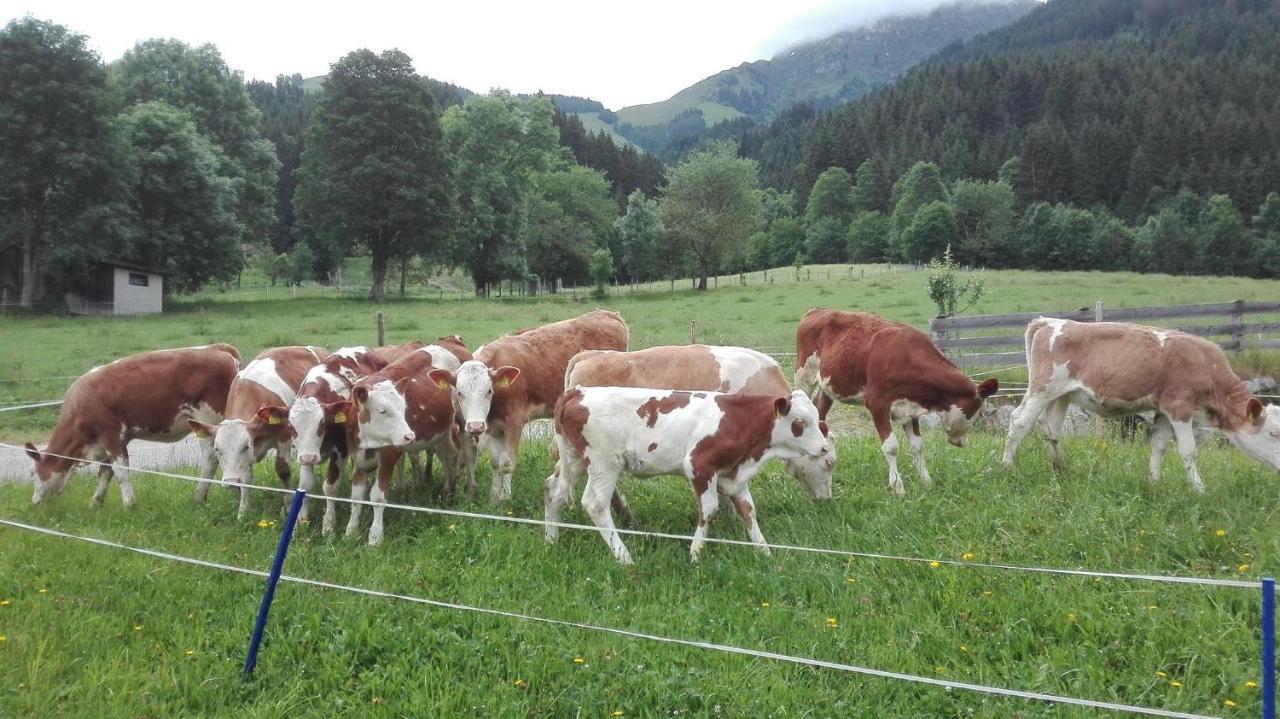 Villa Schiessling Hof Oberndorf in Tirol Exterior foto