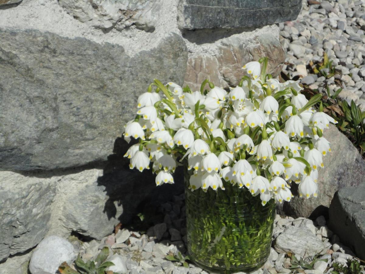 Villa Schiessling Hof Oberndorf in Tirol Exterior foto